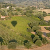 Italian International Grand Prix 2024