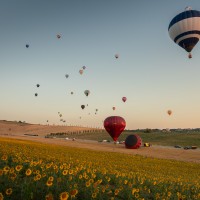 Nisi_Pierluigi_Fields_of_colors